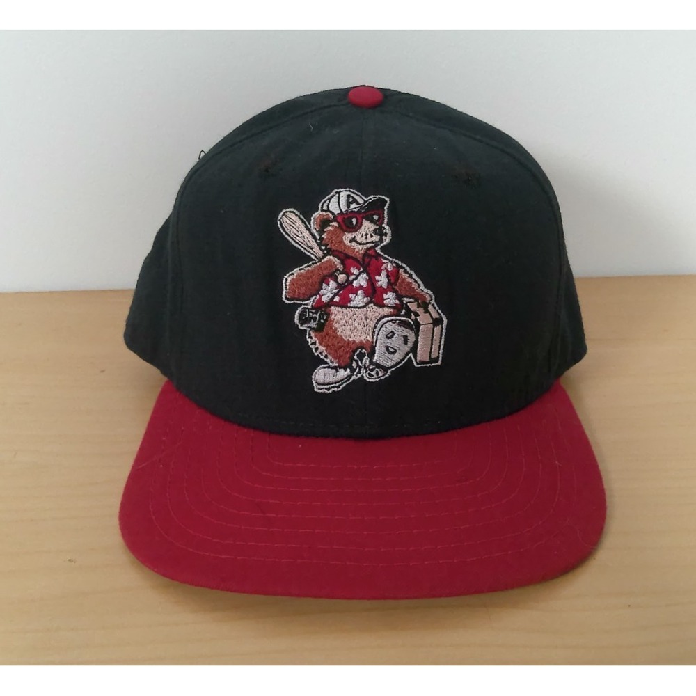 Vintage 90s Asheville Tourists Hat New Era Snapback Ted E Tourist Cap MiLB USA